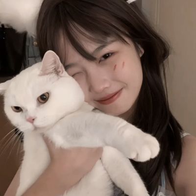 寻龙探宝手机版下载